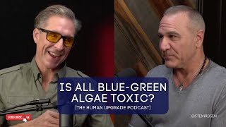 Can You Eat BlueGreen Algae How do You Know Its Safe with Dave Asprey [upl. by Latashia]