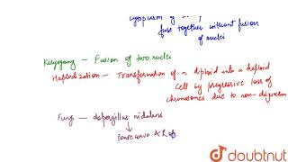 A type of life cycle in which plasmogamy karyogamy haplodization take place but not at specific [upl. by Edgerton]