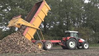 Suikerbieten transport met Steyr  Trekkerwebnl [upl. by Mckee980]