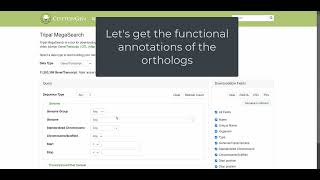 How to find orthologs and corresponding functional annotations [upl. by Eilrahc]