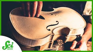 Why Can’t We Make New Stradivari Violins [upl. by Crellen]