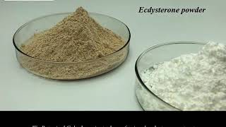 ecdysterone extract [upl. by Kathy]