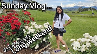 Sunday Vlog වැඩ ගොඩයි [upl. by Vidovik]