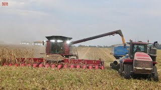 CASE IH 9250 AxialFlow Combines Harvesting Corn [upl. by Wendall966]