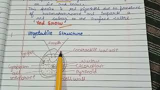 Chlamydomonas classificationOccurence Vegetative structure Blepharoplastparadesmoserhizoplast [upl. by Refannej]