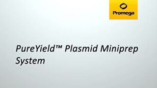 PureYield™ Plasmid Miniprep System [upl. by Darline906]