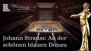 🎻 Johann Strauss II An der schönen blauen Donau  Walzer op 314  NYC2024  NewYearsConcert ♪♫ [upl. by Filippa489]