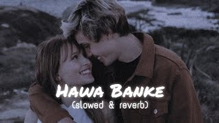 Hawa Banke slowedreverb  Darshan Raval  main jami tu aasman  lofi VIBIE [upl. by Danika775]