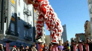 San Francisco Tet Festival Lion Dance [upl. by Tommie149]