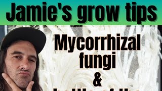 Mycorrhizal fungi discussion [upl. by Herod]