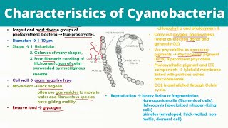 Characteristics of Cyanobacteria  Blue Green Algae [upl. by Consuela]