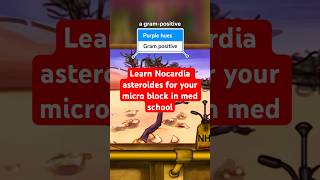 Learn Nocardia asteroides in 60 seconds [upl. by Tlihcox682]