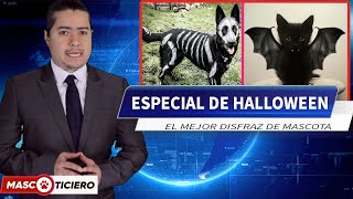 MASCOTAS DISFRAZADAS  RIP FIRULAIS HALLOWEEN  ESPECIAL  Mascoticiero [upl. by Eceinej]