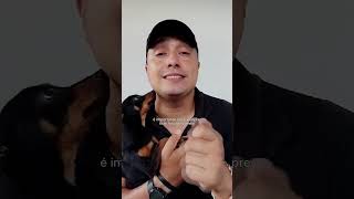 CACHORRO VOMITANDO O QUE FAZER filhote animais adoteumviralata [upl. by Kiele925]