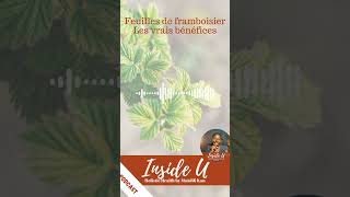 Connaissiez vous vraiment les bienfaits des feuilles de Framboisier  Rdv sur le podcast ✨ podcast [upl. by Siroved]