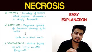 Necrosis  1  Pathology  EOMS [upl. by Rogers]