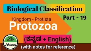 in Kannada Class 11 Biological Classification Part 19 Protozoa [upl. by Kafka]