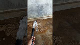 Cleaning horse home cleaning horsehome nature bugslife pestcontrol hamiltonmusic fish [upl. by Stimson]