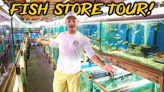 UNDERGROUND FISH STORE with a BUNCH of EXOTIC FISH Full Tour [upl. by Anihtyc]