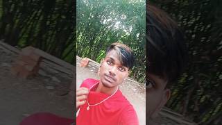 tum hi to tomar moto hai hariye gecho a jana trending shortvideo viralshorts subscribe [upl. by Shelley834]