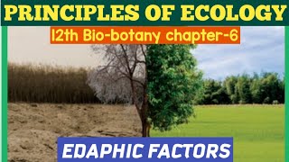 12th standard biobotany chapter6 Principles Of EcologyEDAPHIC FACTORS12th SCERT BIOLOGY TAMIL [upl. by Eleph]