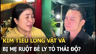 Kim Tiểu Long vật vã bị mẹ ruột bé Ly tỏ thái độ [upl. by Bonny567]