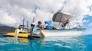 Conserving Molokais Coral Reefs with BYU and ‘Āina Momona [upl. by Tarkany]