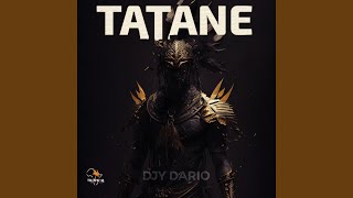 Tatane Main Mix 3 [upl. by Ivets]