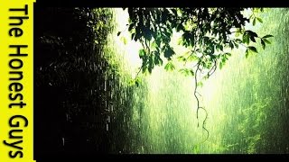 Relaxation Music  1 Hour Gentle Rain Meditation [upl. by Ahteral]