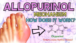 Allopurinol Zyloprim  HOW DOES IT WORK Mechanism of Action Explained in 2 Minutes [upl. by Eicirtap]