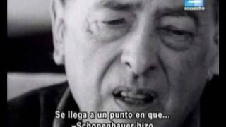 WITOLD GOMBROWICZ Y LA JUVENTUDwmv [upl. by Aiekram]