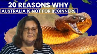 20 Most TERRIFYING and Deadly Venomous Snakes 🐍 In Australia 🌏🦘 [upl. by Inaej796]