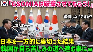 【海外の反応】韓国「GSOMIAを破棄する！」日本「分かりました…」→結果ｗ [upl. by Sielen]