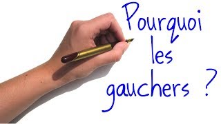 Pourquoi y atil des gauchers [upl. by Agnizn631]