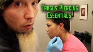 Tragus Piercing Essentials THE MODIFIED WORLD [upl. by Harness95]