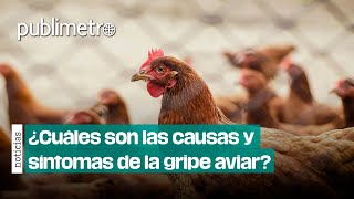 ¿Cómo se contagia y cuáles son los síntomas de la gripe aviar AH5N2 [upl. by Lynett333]