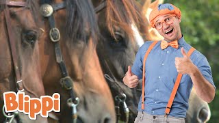 Blippi Horse Song  Blippi  Sing With Blippi  Funny Videos amp Songs [upl. by Acalia858]