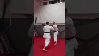 en la cabeza no karatetradicional karatemoves aprenderkarate martialarts [upl. by Glick]