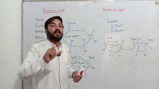 Reducing and non reducing sugar  MDCAT  FSc  Neet  Dr Shakeel Ansari [upl. by Solim]