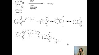 Gabriel Amine Synthesis [upl. by Aneelak]