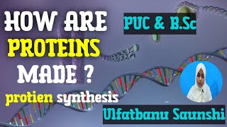 DNA TO PROTEIN  PROTEIN SYNTHESIS  TRANSCRIPTION AND TRANSLATION 💥💥 [upl. by Solracnauj12]