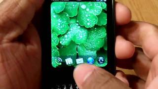 Palm Pixi Plus Review Part 1 [upl. by Coy974]