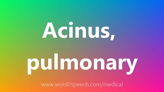 Acinus pulmonary  Medical Meaning [upl. by Inal]