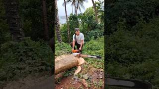 070 boss😱😱 shortsfeed wood chainsaw woodworking [upl. by Ahsieyn]