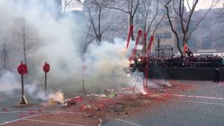 Jan 28 2017 NYC Chinatown Chinese New Year Firecracker Celebration  Sara Roosevelt Park [upl. by Rickart]