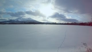 Window View Winter Train Japan JR Hokkaido Railway  from Sapporo to Hakodate [upl. by Richlad840]