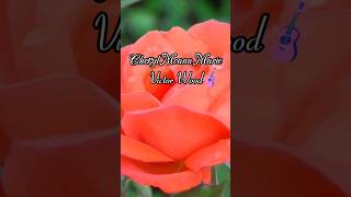 Cheryl Moana Marie by Victor WoodTimeless Tagalog Classic for Soothing Listening 🎧🎸classic music [upl. by Bebe]