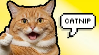 FACTS ABOUT CATNIP  Is your cat SECRETLY addicted 🌿🐱 [upl. by Ynnattirb]