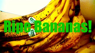 Ripe Bananas  What You Can Do With Them [upl. by Ohl]