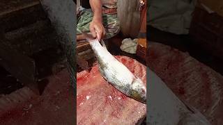 Amazing Big Mrigal Fish Cutting Skills Live In BD Fish5Market [upl. by Alicirp291]